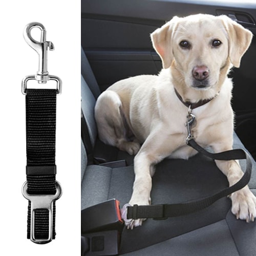 Laisse courte ceinture de sécurité pour chien