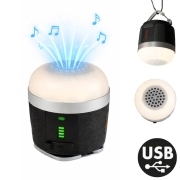 Lampe enceinte Bluetooth TRIGANO SOUND